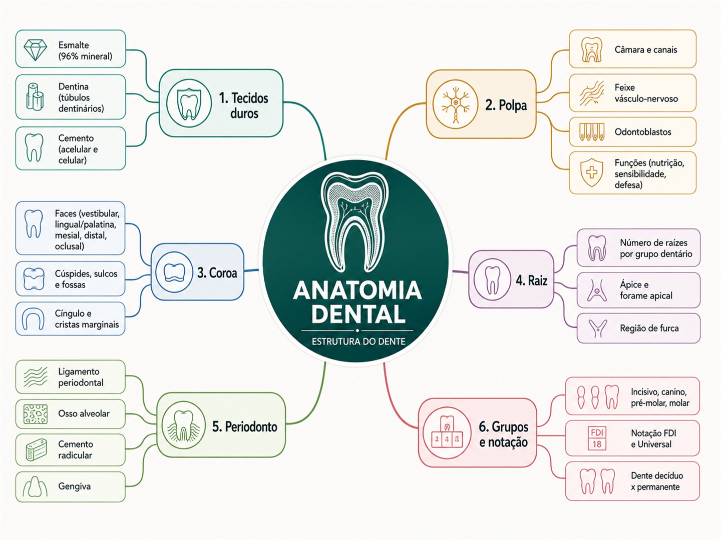 Mapa mental de Anatomia Dental: tecidos duros, polpa, coroa, raiz, periodonto, grupos e notação.